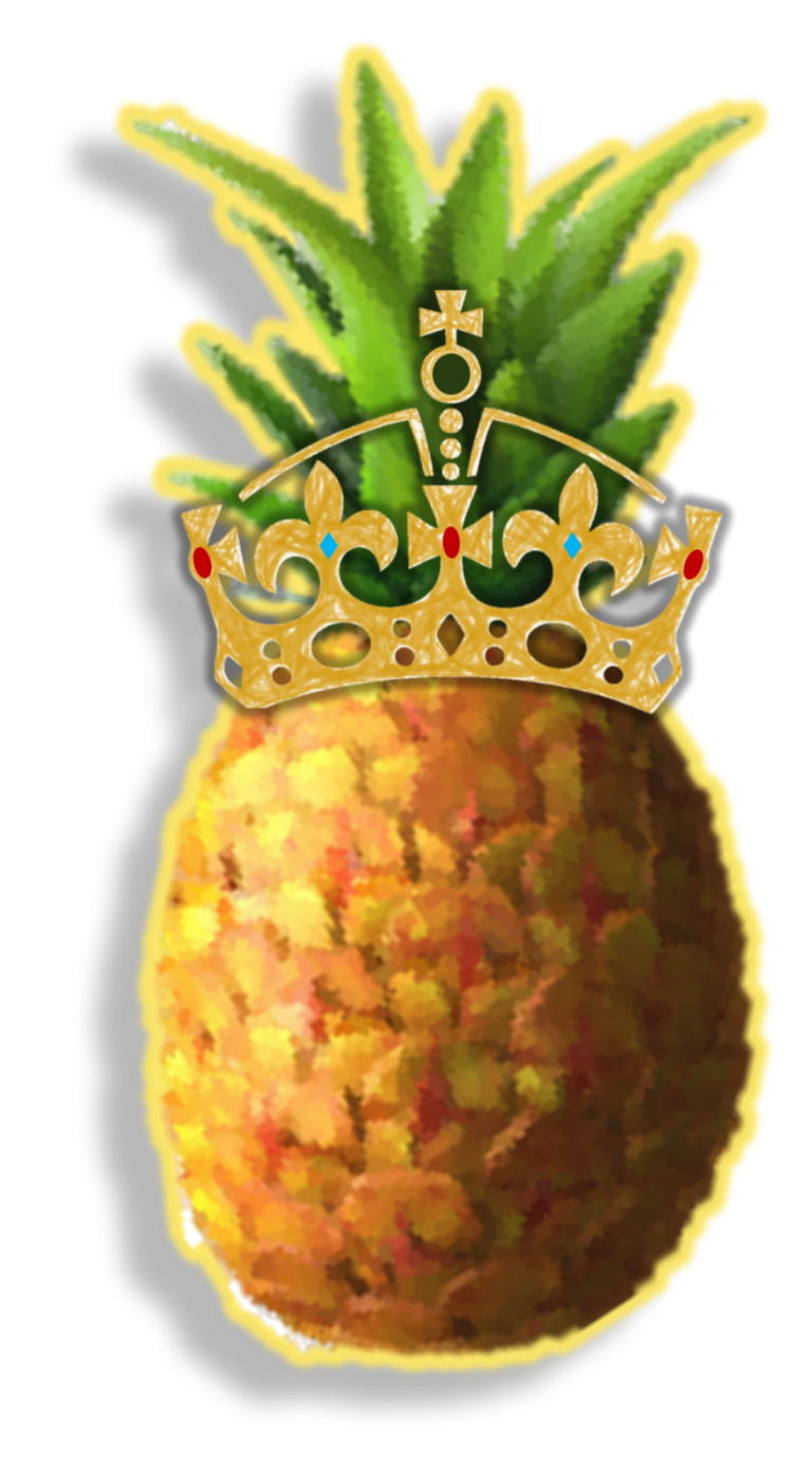 Rayna Pinya logo
